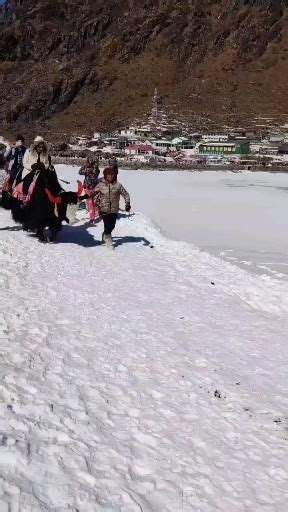 Enjoy yak ride activity at frozen tsomgo lake sikkim – Artofit