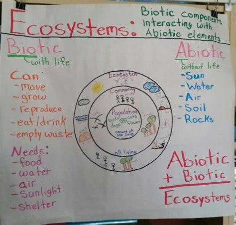 Biotic And Abiotic Factors Worksheet