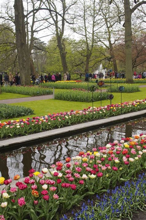 Spring in Keukenhof Park Holland Editorial Stock Photo - Image of ...