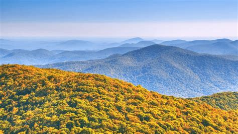 blue_ridge_north_georgia_fall_foliage | Morning Breeze Cabin Rentals