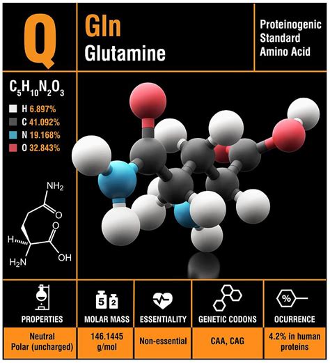 Glutamine Amino Acid Molecule Photograph by Carlos Clarivan/science Photo Library - Pixels