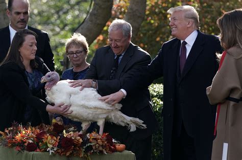 Trump Presidential Turkey Pardon: How to Watch Thanksgiving White House ...