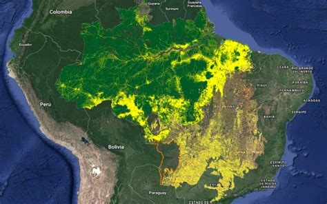 La devastación de la selva amazónica brasileña alcanza niveles sin precedentes - Diario Eco