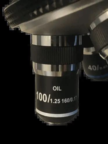 Microscope Immersion Oil: A Complete Guide – Microscope Clarity