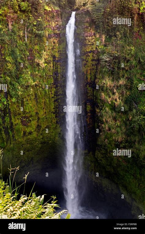 Akaka waterfall at Akaka Falls State Park. Big Island. Hawaii. At Akaka ...