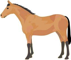 Horse clip art