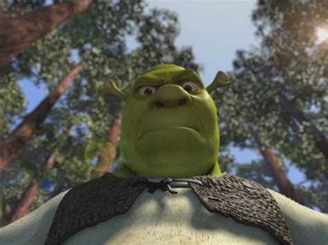 Image - Shrek angryshrek.jpg | Monster Wiki | Fandom powered by Wikia