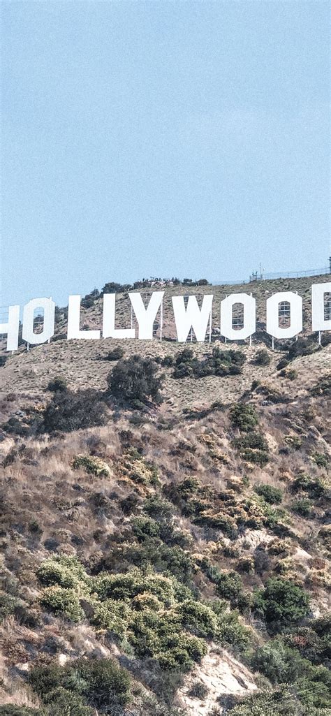 Hollywood Sign Night Wallpaper