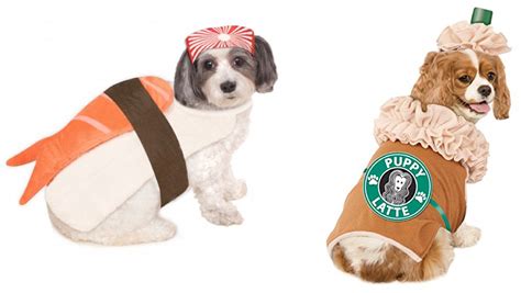 Ruff Draft: Adorable Pet Costumes for your Puppies & Kittens Halloween - Anders Ruff Custom ...