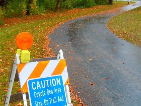 Park District Warns of Coyotes Near Buffalo Grove Park | Buffalo Grove, IL Patch