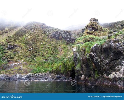 Antipodes Islands stock image. Image of subantarctic - 201409283