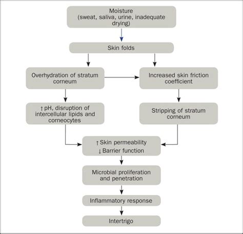 justa Empuje hacia abajo Anécdota candida intertrigo treatment Eléctrico Complicado prefacio