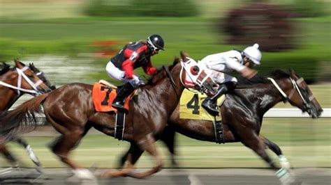 Indiana Grand Horse Racing Picks for Tuesday 11/10/20