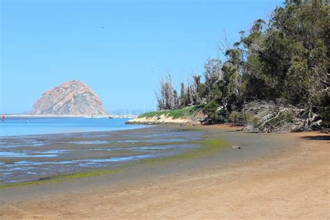 Morro Bay State Park, Morro Bay, CA - California Beaches