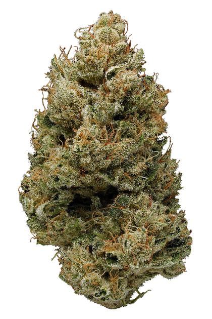 Banana Kush Strain - Hybrid Cannabis Review, CBD, THC : Hytiva