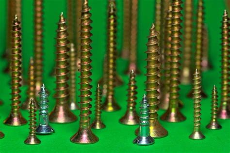 6 Different Types of Wood Screws (With Pictures) | House Grail