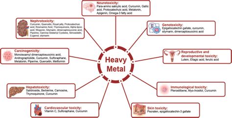 Diagrammatic explanation of heavy metal toxicity treatment by natural... | Download Scientific ...