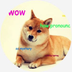 Did The Doge Dog Died 2021 - DINCOG