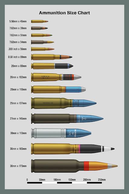 Vintage Outdoors: Ammo Size Comparison Charts