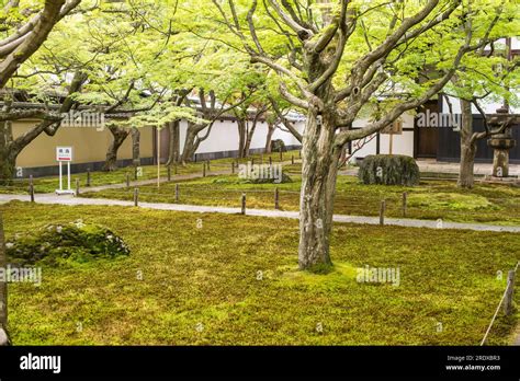 Japanese moss garden hi-res stock photography and images - Alamy