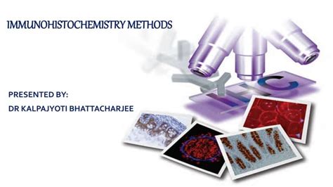 Basics of Immunohistochemistry (IHC)