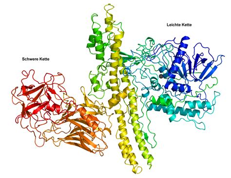 PharmaWiki - Botulinumtoxin