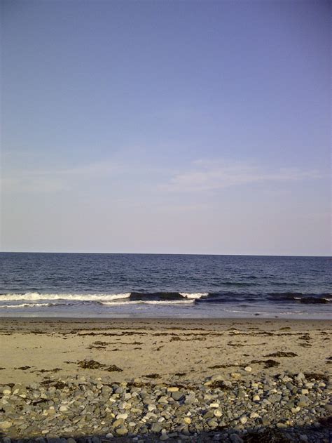 Beach Plum, New Hampshire | Beach, Beach plum, New hampshire