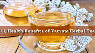 11 Amazing Health Benefits of Yarrow Herbal Tea