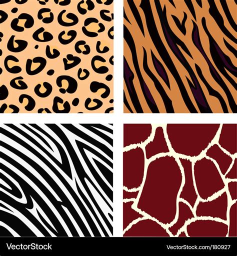 Animal patterns Royalty Free Vector Image - VectorStock