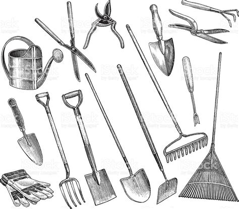 Garden Tools. Pen and ink illustrations of garden tools. Check out my... | Garden tools ...