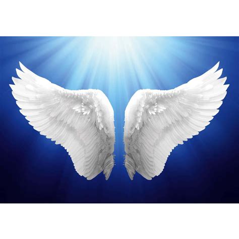 Download White Wings Angel Heaven Background | Wallpapers.com