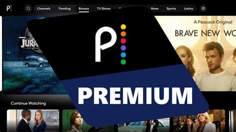 What Is Peacock Premium? Should You Pay More For Premium Plus? - Streaming Better