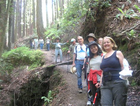 Santa Cruz Mountains Trails: Henry Cowell Redwoods State Park