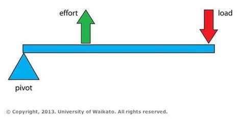 Pivot diagram of a Class 3 lever — Science Learning Hub