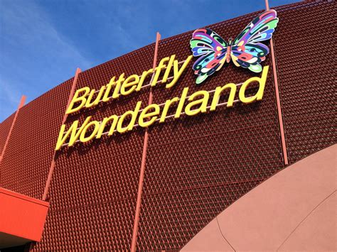 Butterfly Wonderland in Scottsdale - Phoenix With Kids