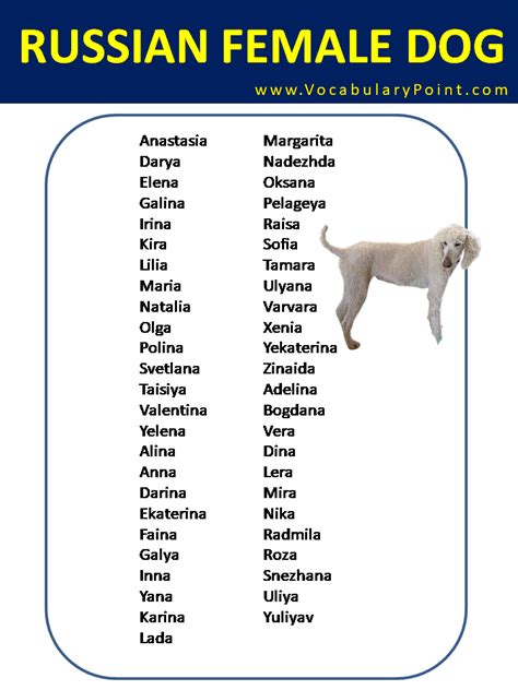 Most Popular Russian Dog Names - Vocabulary Point