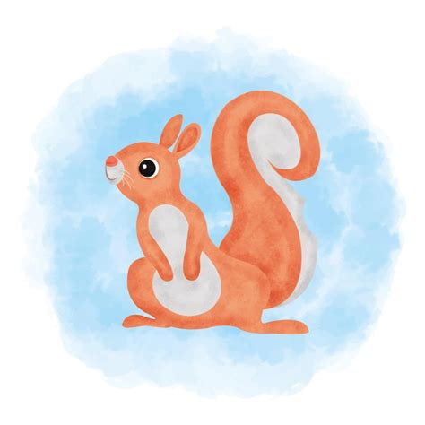 Premium Vector | Cute squirrel watercolor blue background