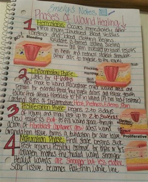 Phases of wound healing: hemostasis,Inflammatory phase,proliferation phase and maturation phase ...