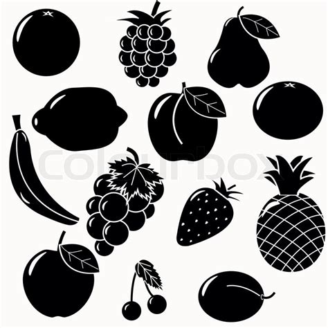 Fruits vector | Stock Vector | Colourbox