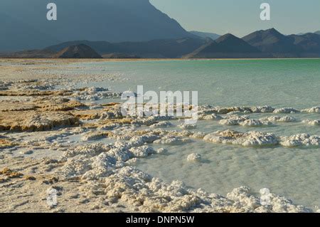 Africa, Djibouti, Lake Assal. Salt crystals emerging from the water with mountains in the ...