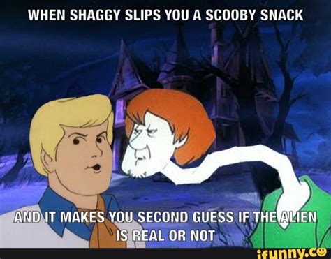 Scooby Doo Shaggy Meme Face