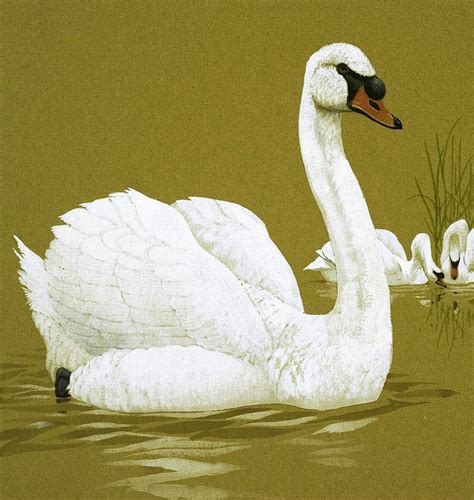 Swan The Ugly Duckling Painting by English School - Fine Art America