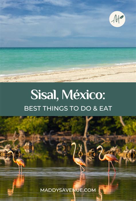 6 Best Things to Do in Sisal, Yucatán, México + Must-Know Tips