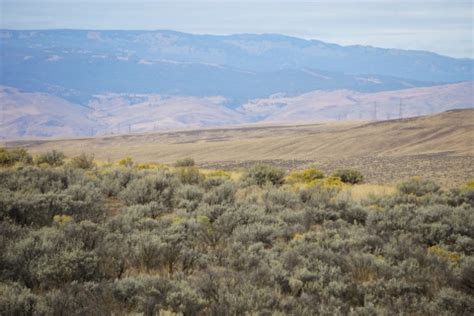 Washington Shrub-Steppe Restoration and Resiliency Initiative: Defining Shared Spatial ...