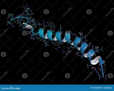 Gastric Inhibitory Polypeptide (GIP, Glucose-dependent Insulinotropic Peptide) Endocrine Protein ...