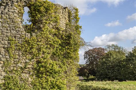 Helmsley Castle Free Stock Photo - Public Domain Pictures