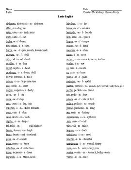 Curated Latin Vocabulary: Human Body (63 Words) by Magister Felix