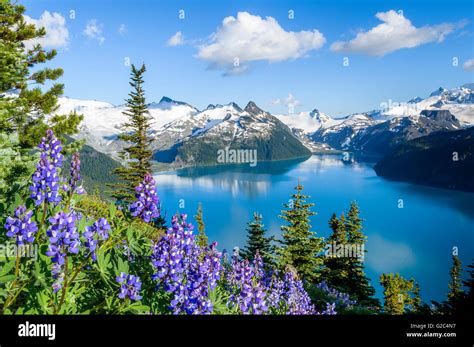 Garibaldi Lake from Panorama Ridge, Garibaldi Provincial Park, British ...