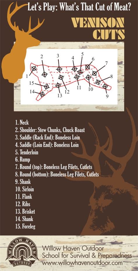 How well do you know your Venison (Deer) Meat Cuts?