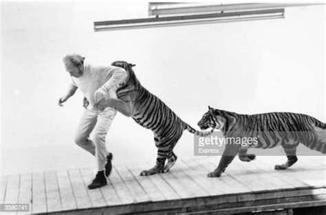 31 John Aspinall (Zoo Owner) Stock Photos, High-Res Pictures, and ...